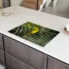Close-up van een etende toekan Inductie beschermer vinyl 3mm klein -sfeer8