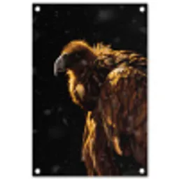 Gier - Vogel - Roofvogel tuinposter los doek klein -3d
