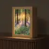 Bos - Bloemen - Lavendel - Zon - Paars - Natuur Light Box met kabel (Tafellamp) klein -z3d_website