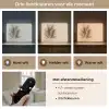 Graan - Pastel - Natuur Light Box met batterij (Wandlamp) middel -USP_lichtkleurNL