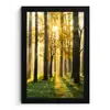 Bos - Zon - Bomen - Gras - Landschap  - Natuur fotolijst zwart zonder passe partout klein -3d