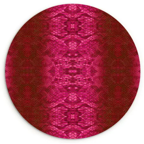 Slang - Boa - Roze Wandcirkel plexiglas klein 852 -3d