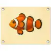 Vis - Oranje - Strepen tuinposter los doek klein -3d