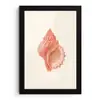 Schelp - Roze - Structuur fotolijst zwart zonder passe partout klein -3d