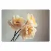 Narcissen - Geel - Bloemblaadjes Placemat vinyl groot -zzsfeer1_Kitchenyeah-website