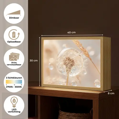 Paardenbloem - Water - Natuur - Stilleven - Modern Light Box met batterij (Wandlamp) middel -USP_websiteoverzichtNL