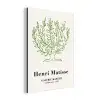 Matisse - Boom - Groen - Natuur - Kunst aluminium wit klein -3d