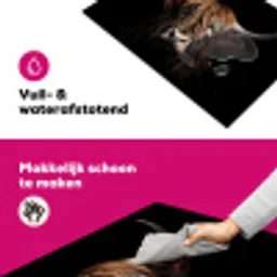 Schotse hooglander - Portret - Zwart - Dier Inductie beschermer vinyl 3mm klein -wsfeer6_website