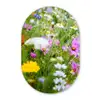 Bloemen - Natuur - Groen - Gras - Paars - Wit Wandcirkel Ovaal Forex klein -3d