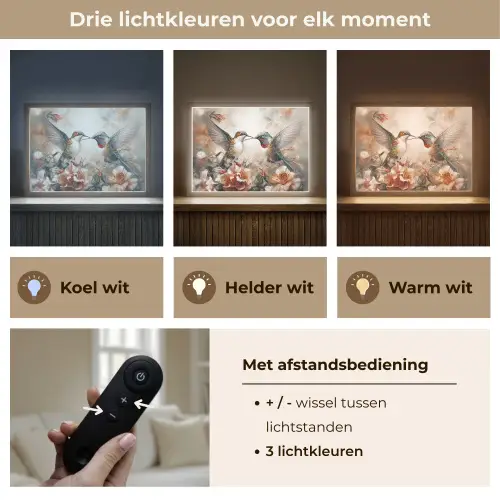 Kolibrie - Vogels - Bloemen - Natuur Light Box met batterij (Wandlamp) middel -USP_lichtkleurNL