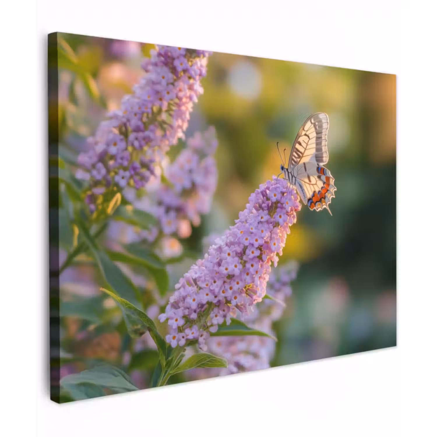 Canvas schilderij - Sierlijke - Vlinder - Paarse - Bloemen