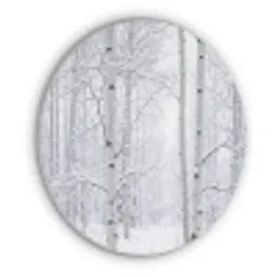 Berkenbomen - Sneeuw - Winter - Bos - Wit Akoestische PET Vilt - Rond klein -3d