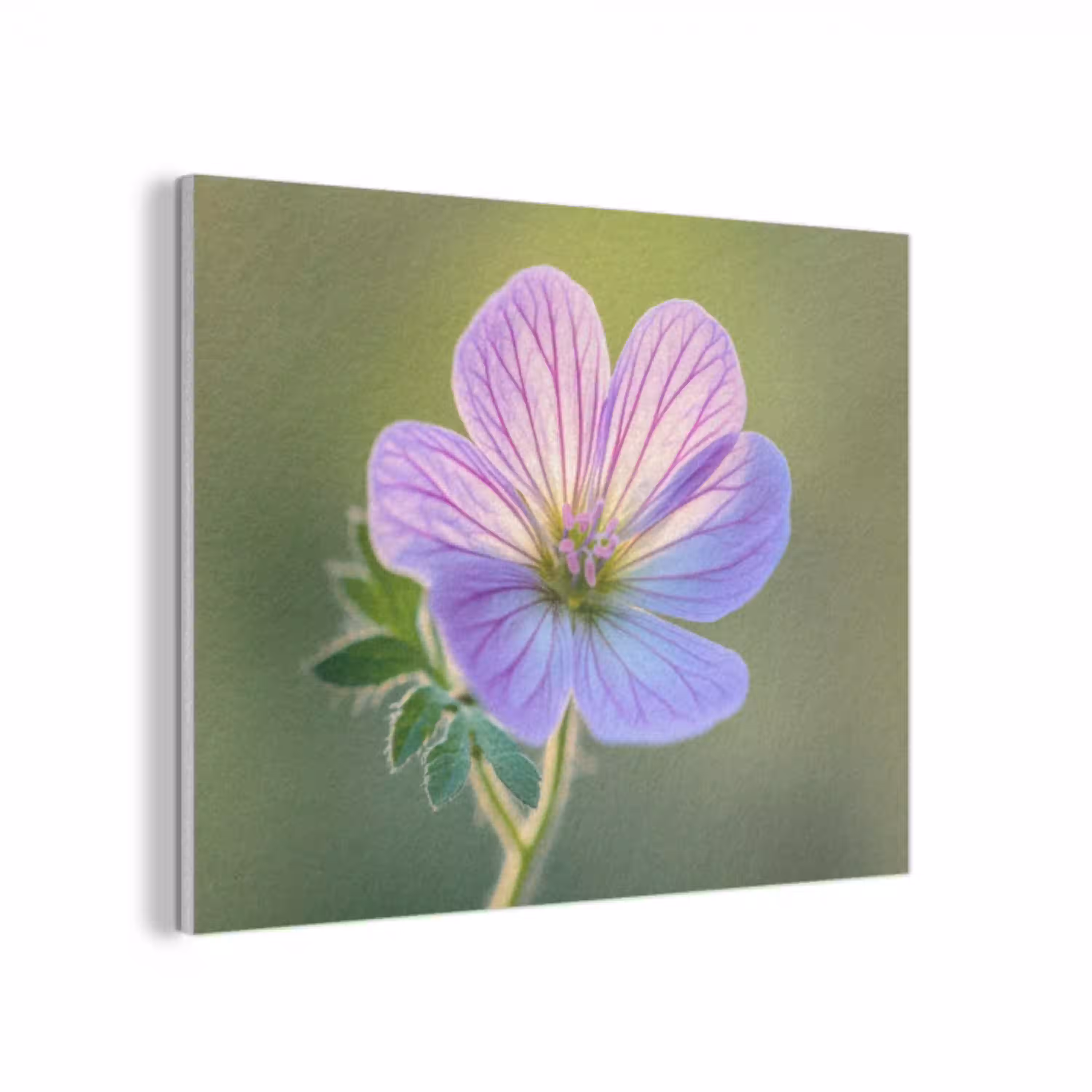Bloem - Close up - Paars PET vilt klein -3d