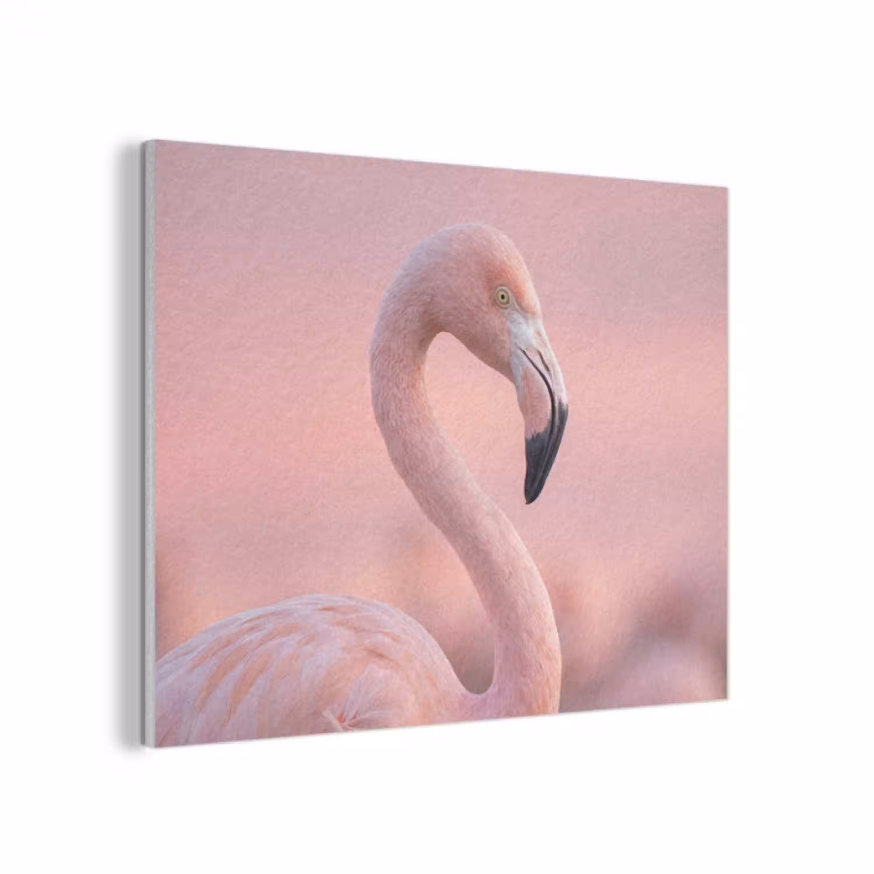 Flamingo - Portret - Roze PET vilt klein -3d