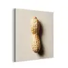 Pinda - Ruw - Beige aluminium wit klein -3d