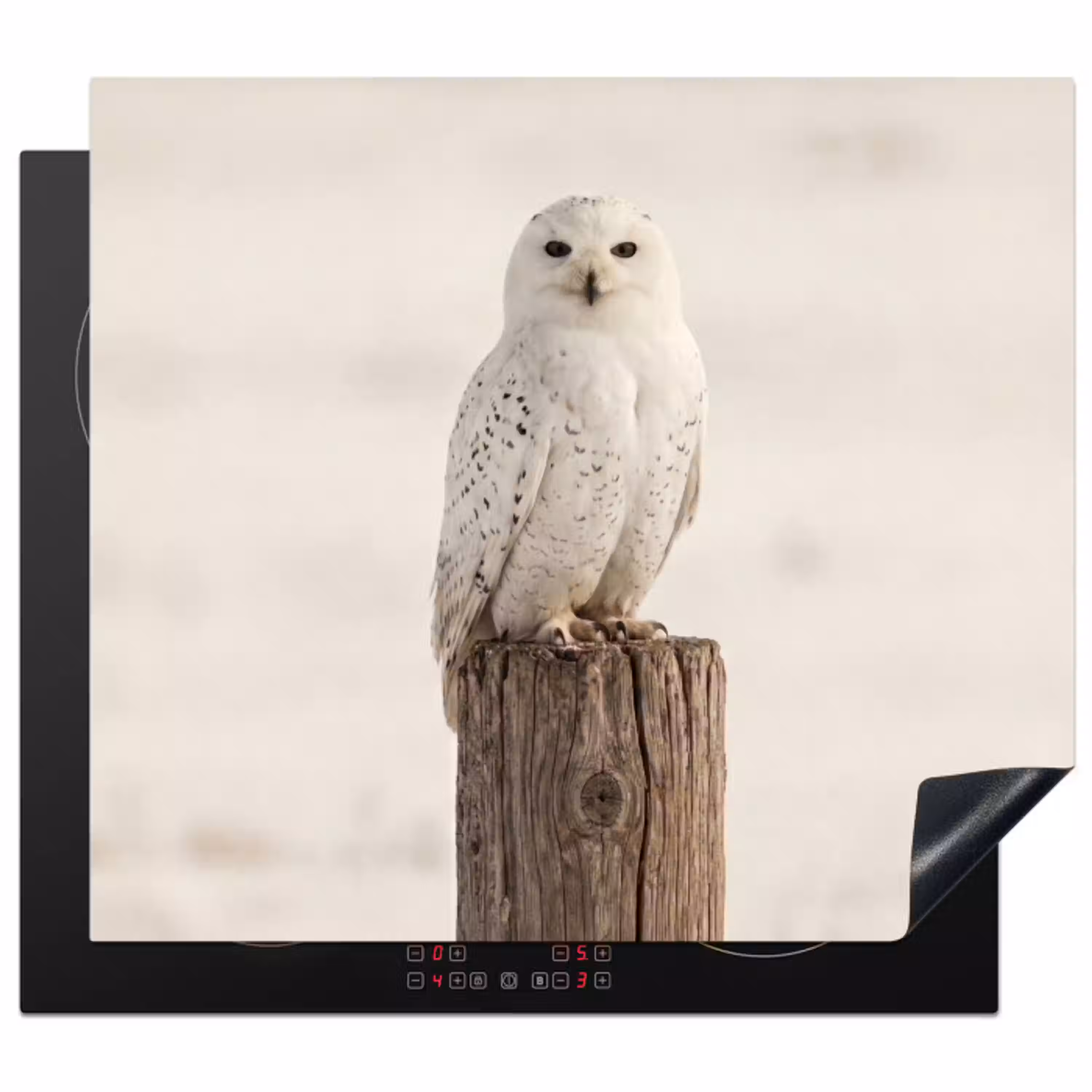 Sneeuwuil - Paal - Winter - Portret - Majestueus Inductie beschermer vinyl 3mm middel -3d