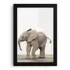 Baby olifant - Dieren - Olifant - Kinderen - Meiden - Jongens fotolijst zwart zonder passe partout klein -3d