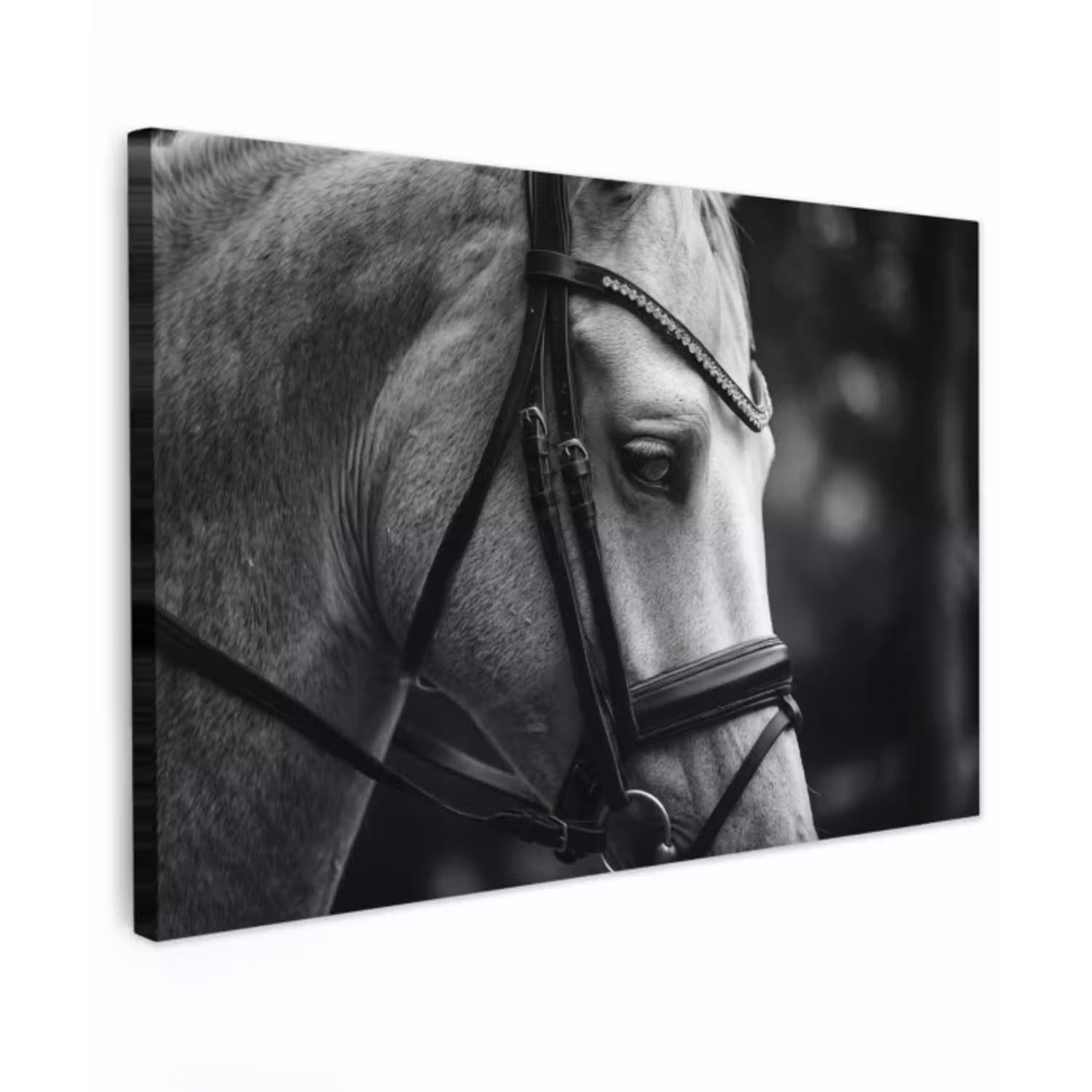Paard - Schimmel - Portret canvas 2cm klein -z3d