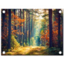 Herfstbos in de Ochtendmist tuinposter los doek klein -3d