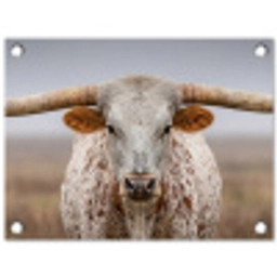 Longhorn - Grasveld - Dier tuinposter los doek klein -3d