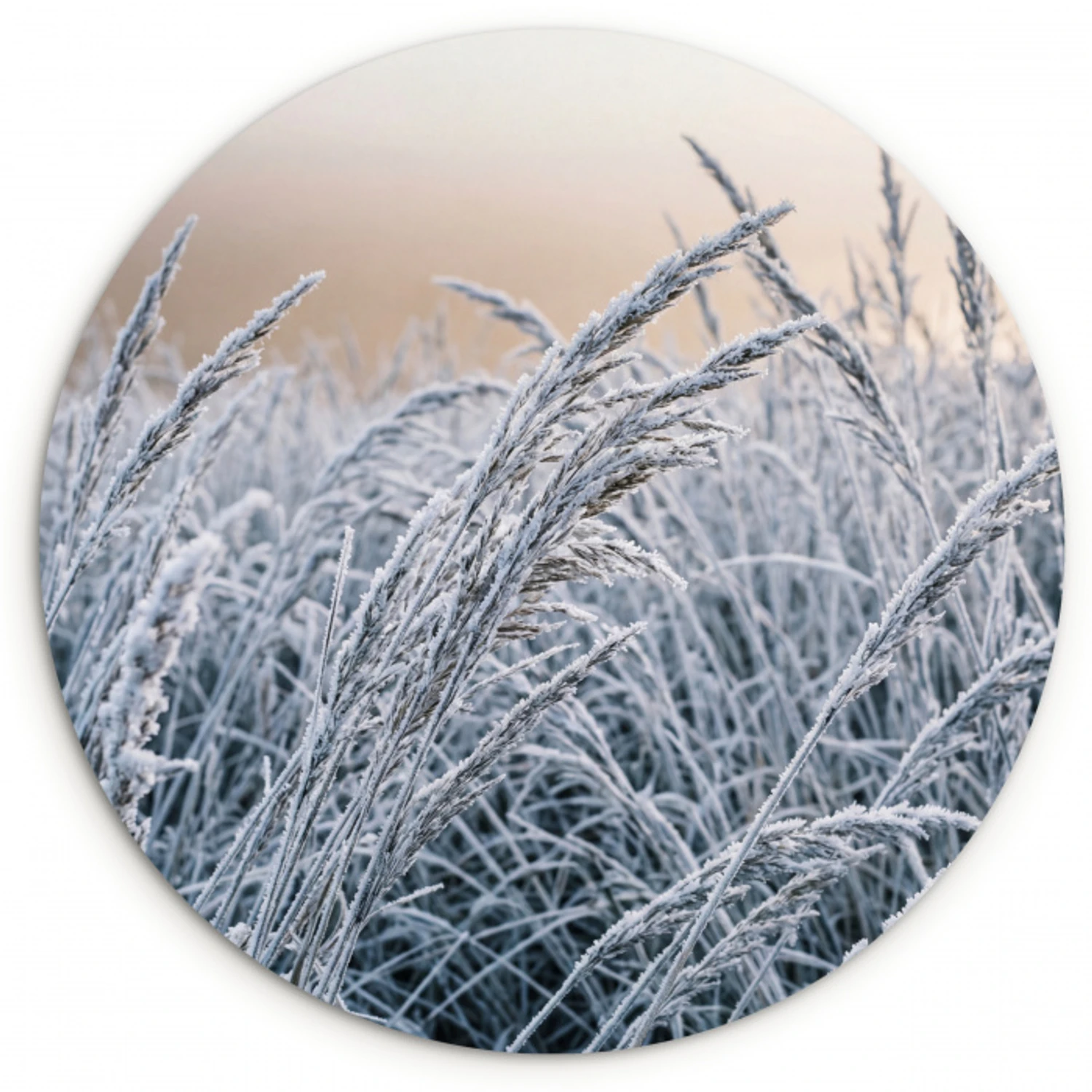 Rijp - Gras - Kristallen - Winter - Minimalistisch Wandcirkel kunststof plaat 5mm dik klein -3d