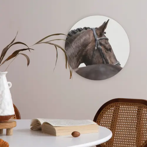 Portret - Paard - Elegant Akoestische PET Vilt - Rond klein -sfeer3