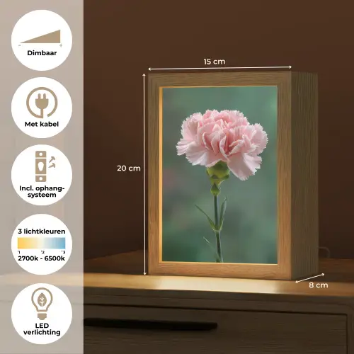 Anjer - Roze - Bloemblaadjes Light Box met kabel (Tafellamp) klein -USP_NL
