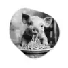 Varken - Schattig - Spaghetti - Zwart wit - Dier Wandcirkel Organisch Plexiglas middel -3d