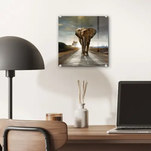 Olifant - Weg - Dieren - Zonsondergang - Landschap plexiglas 5mm klein -sfeer6