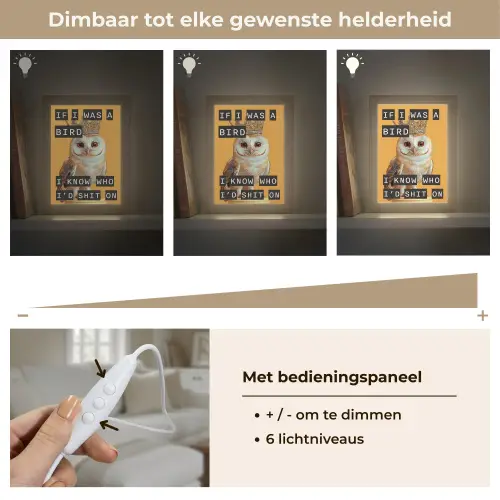 Geel - Uil - Vogel - Decoratie Light Box met kabel (Tafellamp) klein -USP_dimbaarNL