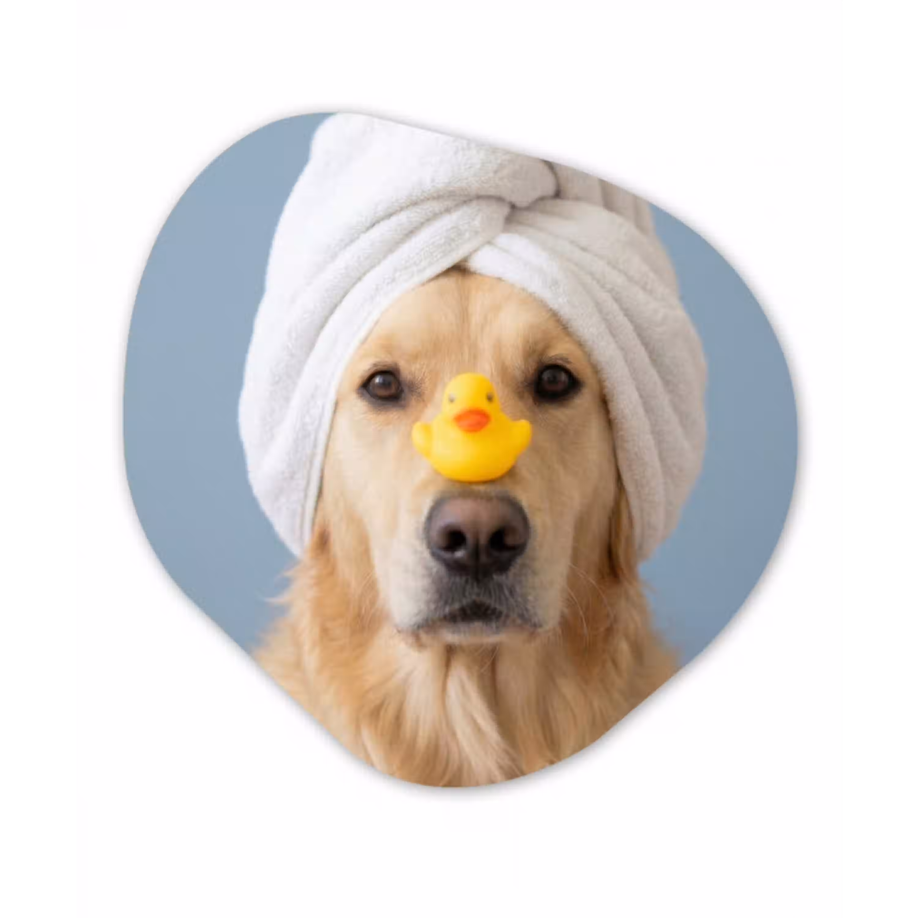 Hond - Badeend - Geel Wandcirkel Organisch Forex 3mm klein -3d