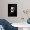 Arend -Amerika - Koksmuts - Vogel - Stoer fotolijst zwart zonder passe partout klein -sfeer4