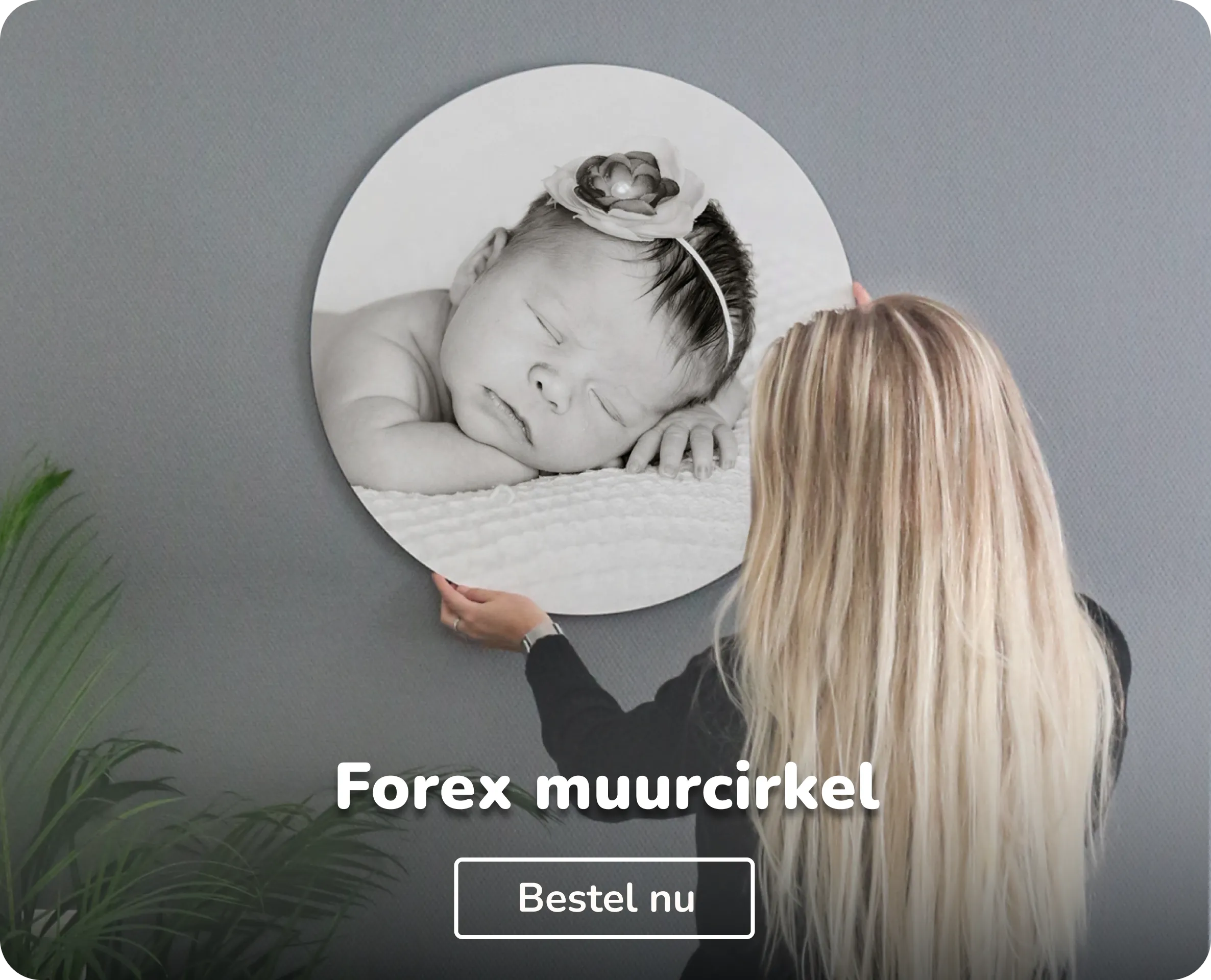 Foto op forex muurcirkel