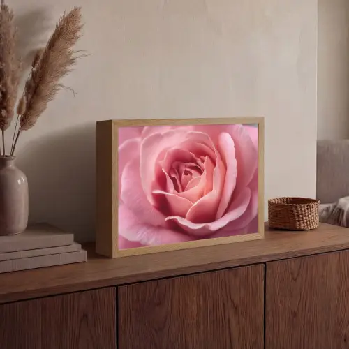 Roze - Roos - Romantisch Light Box met batterij (Wandlamp) middel -sfeer2