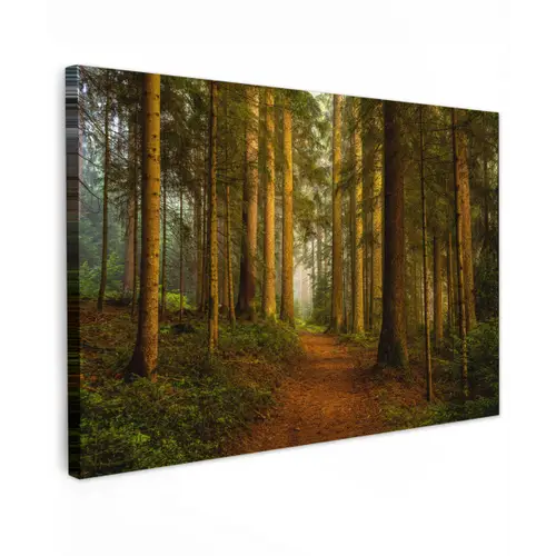 Bos - Natuur - Bomen - Landschap - Bladeren canvas 2cm klein -z3d