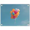 Ballonnen - Kleurrijk - Heldere hemel tuinposter los doek klein -3d