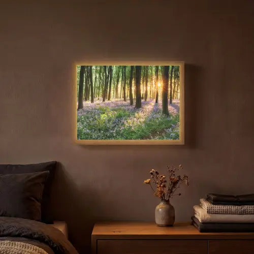 Bos - Bloemen - Lavendel - Zon - Paars - Natuur Light Box met batterij (Wandlamp) middel -sfeer4