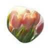Tulpen - Roze - Zonnestralen Wandcirkel Organisch Aluminium middel -3d