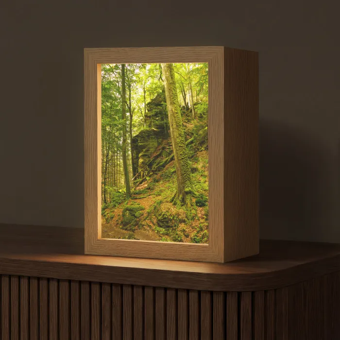 Bomen - Steen - Bos - Natuur - Planten Light Box met kabel (Tafellamp) klein -z3d_website