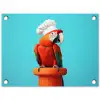 Ara - Koksmuts - Sokkel - Grappig tuinposter los doek klein -3d