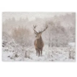 Edelhert - Bos - Sneeuw - Winter - Majestueus Deurmat klein -zkaufland3d