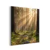 Bos - Zonlicht - Gras aluminium wit klein -3d