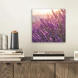 Lavendel - Paars - Zonlicht aluminium wit klein -sfeer1