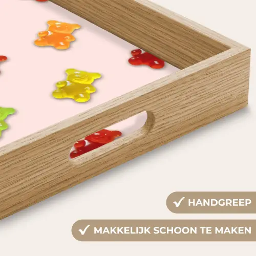 Kleur - Snoep - Roze Dienblad Rechthoek middel -USP_HandgreepNL