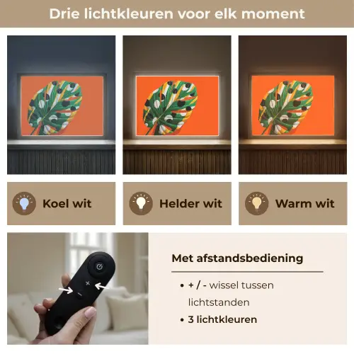 Blad - Oranje - Stippen - Kleurrijk Light Box met batterij (Wandlamp) middel -USP_lichtkleurNL