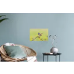 Vogel - Tak - Natuur - Kleurrijk Muursticker klein -plant