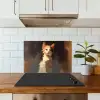 Kat - Geschilderd - Artistiek - Wit keuken achterwand spatscherm klein -sfeer2