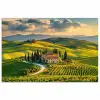 Toscane - Landschap - Wijngaarden poster papier klein -3d