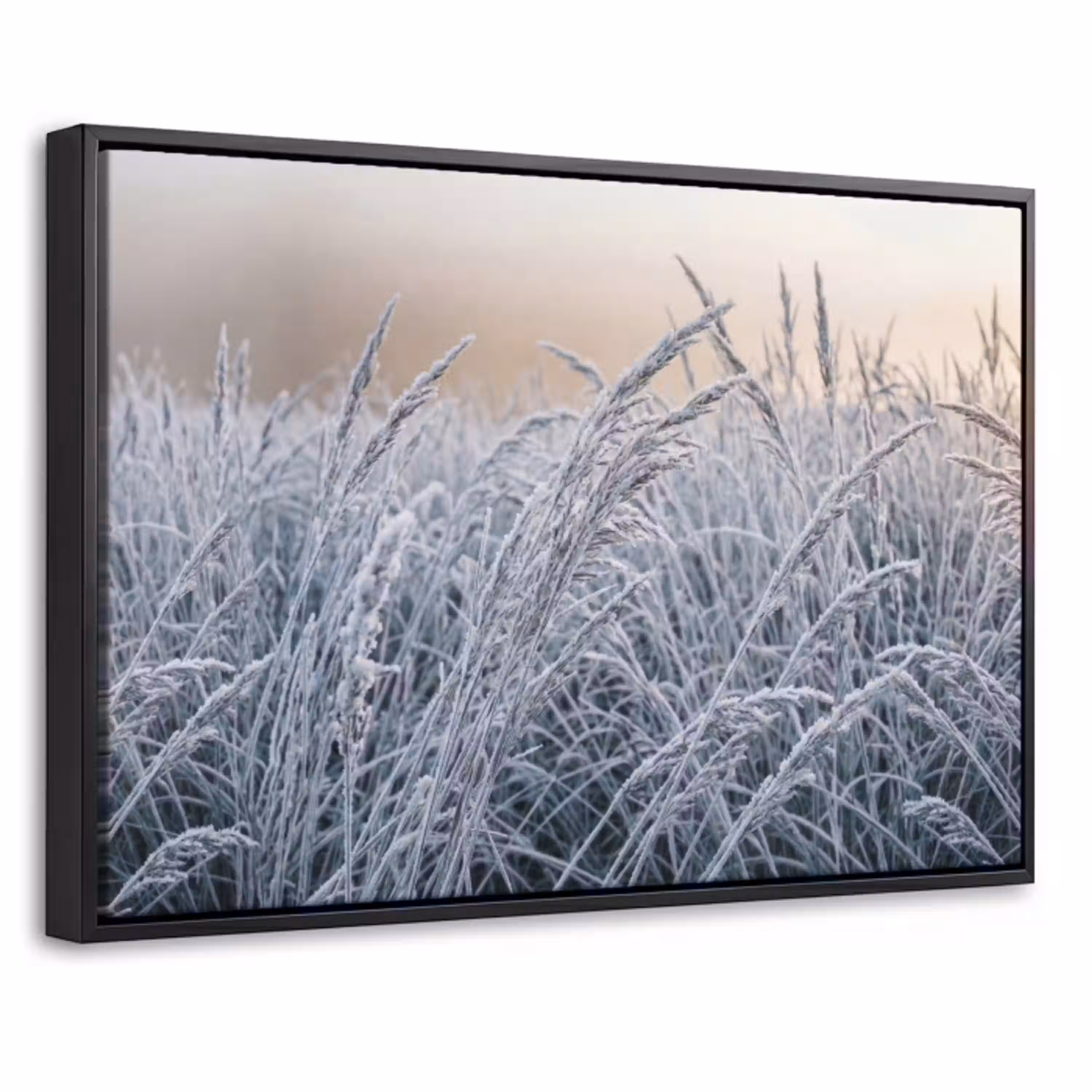 Rijp - Gras - Kristallen - Winter - Minimalistisch Canvas met baklijst klein -threedimensional_3d_global