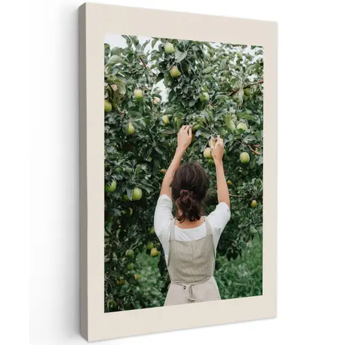 Boom - Appels - Plukken - Natuur Tuinposter op houten frame 2 cm dik klein -3d